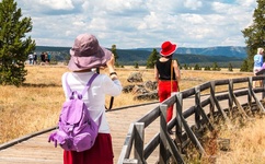 女子咬断男子生殖器并吞入腹中